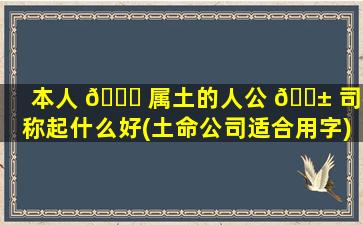 本人 🐟 属土的人公 🐱 司名称起什么好(土命公司适合用字)